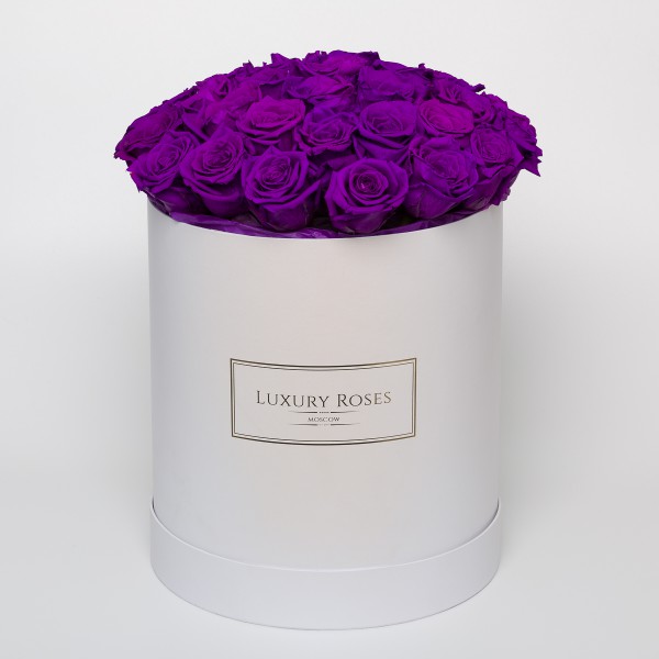 Букет 35 фиолетовых роз в шляпной коробке