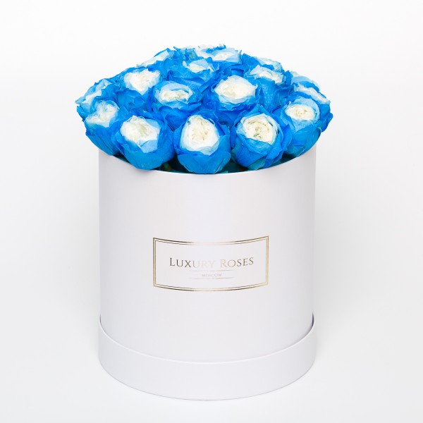 Букет 21 синяя роза Остина в шляпной коробочке