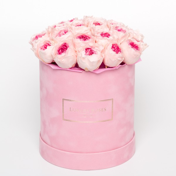 Букет 25 розовых Пионовидных роза в бархатной коробке