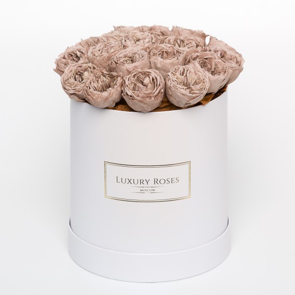 Букет 17 Кофейных пионовидных роз (розы Девида Остина)