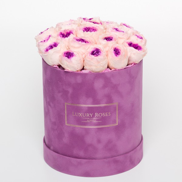 Букет 17 Розово-фиолетовых Пионовидных роз в бархатной коробке
