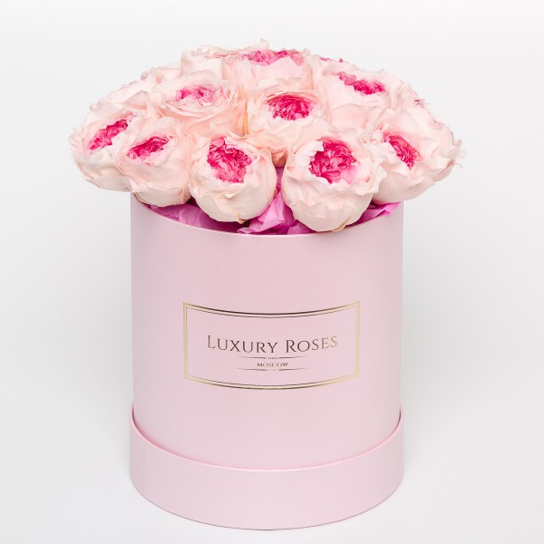 Букет 17 розовых пионовидных роз в шляпной коробке