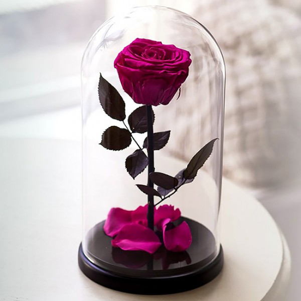 Роза в колбе Фуксия Pink