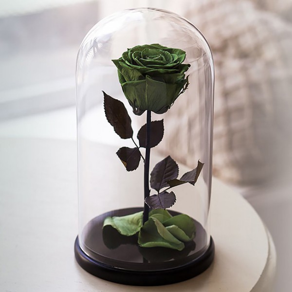 Роза в колбе зелёная grass