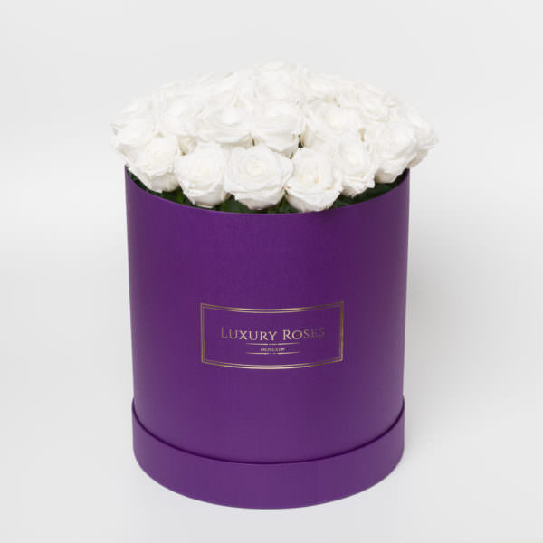 Букет 25 белых роз в фиолетовой шляпной коробке