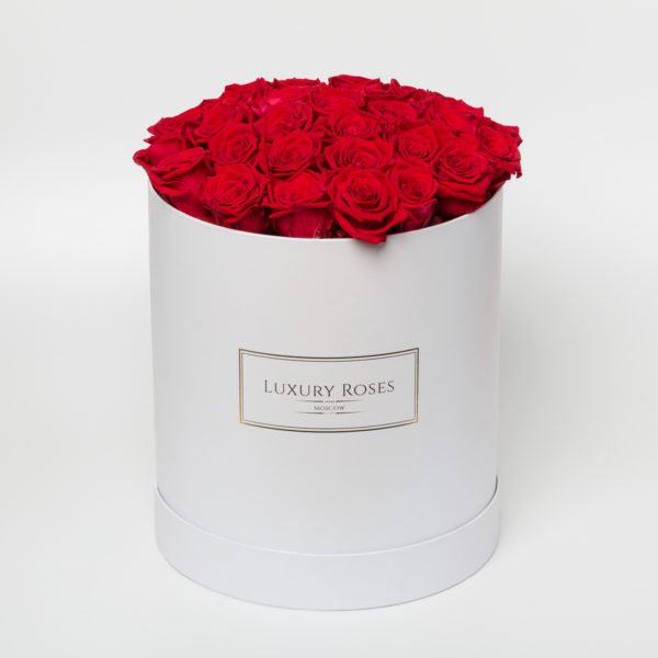 Букет 25 красных роз в белой шляпной коробке