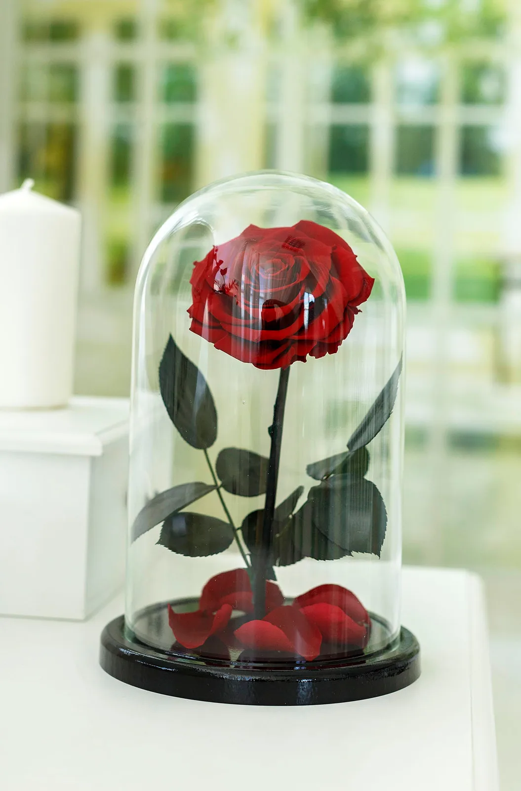 Роза в колбе Royal red, Роза в колбе - Luxury Roses, СПб