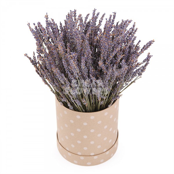 Букет 5 веточек лаванды в коробке