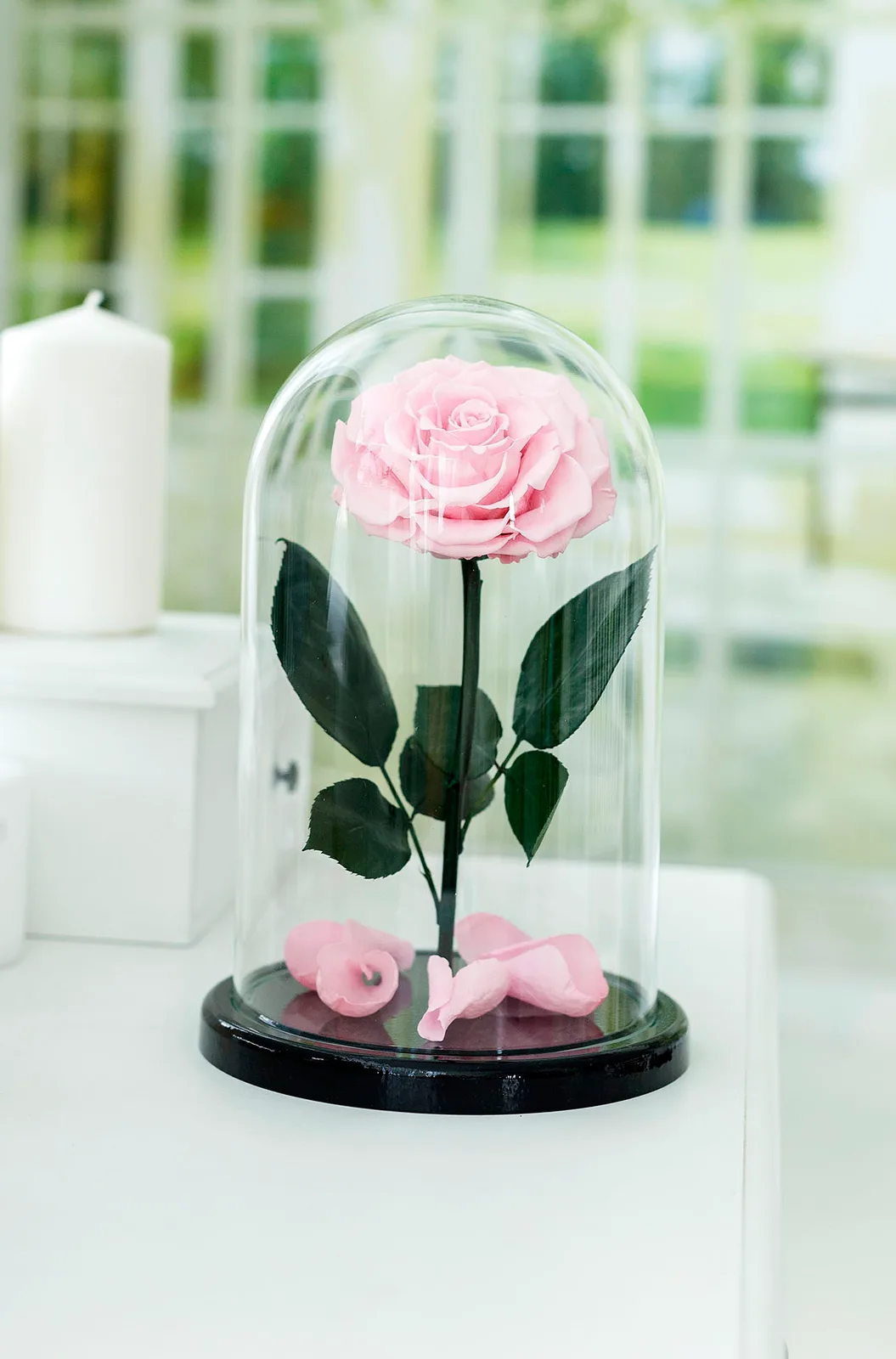 Роза в колбе Royal pink, Роза в колбе - Luxury Roses, СПб